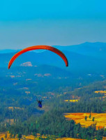 uttar pradesh tour packages