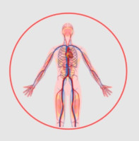 Vascular Surgeon Doctor in Delhi, India |Dr. Tapish Sahu – Vascular Care India