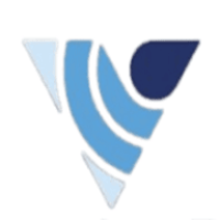 Virtuosity Digital - Best Digital Marketing Agency in Jalandhar