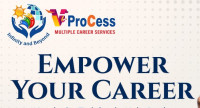 veprocess multiple career services