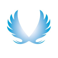 Vermogen Digital - A Leading Digital Marketing Company in Pune