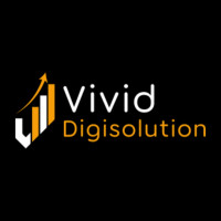 SMM Services in Vadodara | Vivid Digi Solution