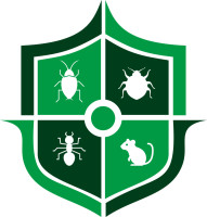 Best Pest Control Service In Mumbai | VSG Pest Control