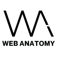 Best Digital Marketing Services in Hyderabad - Web Anatomy
