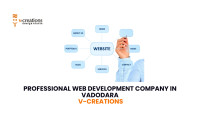 Professional Web Development Company in Vadodara | V-creation