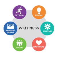 HOLISTIC HEALING HUMAN PRIVATE LIMITED