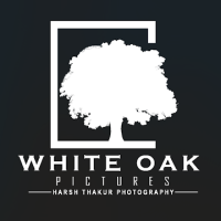 Whiteoakpictures