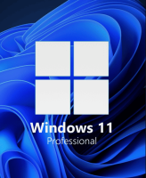 Windows 11 Professional Key
