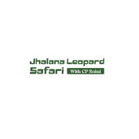 Jhalana leopard safari with cp saini