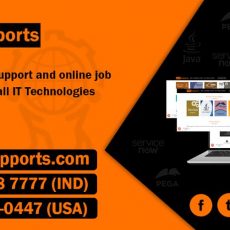 IT Technical support | On Job Support