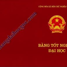 lam bang dai hoc uy tin gia re