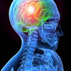 http://up2health.com/amazin-brain/