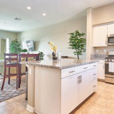 Downtown Apartments for Sale