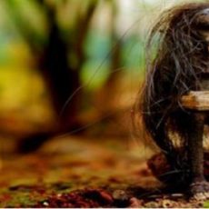Durga Saptashati Vashikaran Mantra