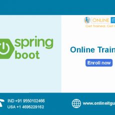 Spring Boot Online Training India