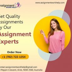assignment work help australia