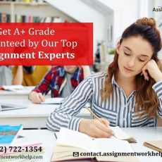 top assignment writing help