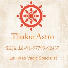Lal Kitab Guru Ji astrologer SK Jindal+91-9779392437