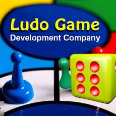 Ludo Game Design and Development Service Provider Company in the USA