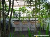 Passionscape Pte Ltd