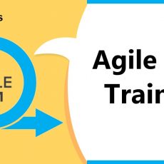 Agile PLM Training | Oracle Agile PLM Certification Course
