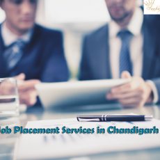 Job Placement Services in Chandigarh