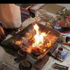 Best Astrologer In India Gives You Free Astrology Advice Online +91 7597392676