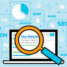search engine marketing services in delhi