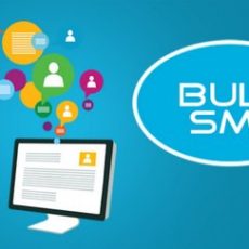 Bulk SMS | Bulk SMS Service | Bulk SMS Gateway
