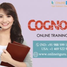 Cognos Analytics training|Cognos Bi Training