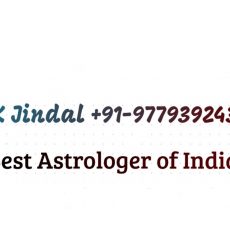 Famous Best Astrologer in Bhilai+91-9779392437