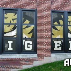 ALTIUS Graphics