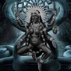 love-marriage-specialist-in-noida