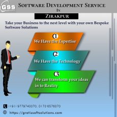 software development service in zirakpur
