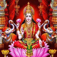 black magic online Lady astrologer+91-7849869679