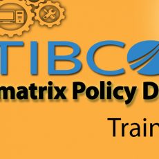 Tibco Activematrix Policy Directory Training online