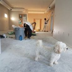 Home renovation UAE