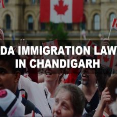 Lexlords Canada Immigration Lawyers
